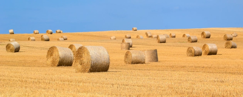 Extend field validation with regular expressions